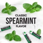 ChapStick Bulk Lip Balm, Classic Spearmint 12-Pack - Image 3